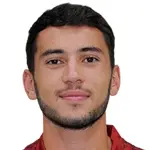 Z. Shaghoyan