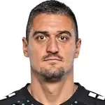 N. Nedić