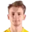 V. Vallik