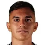 V. Pizarro