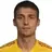 P. Pavlyuchenko