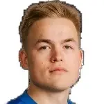 V. Vehkonen