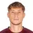 M. Vojvoda