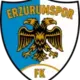 Erzurumspor FK