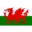 Wales U19