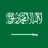 Saudi Arabia U23