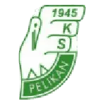Pelikan Łowicz