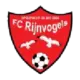 Rijnvogels