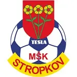 MSK Tesla Stropkov