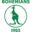 Bohemians 1905 II