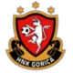 Gori