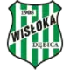 Wisłoka Dębica