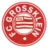 Grossklein