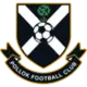 Pollok