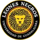 Leones Negros UDG