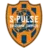 Shimizu S-pulse