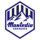 Montedio Yamagata