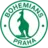 Bohemians 1905