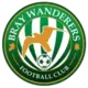 Bray Wanderers