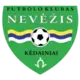 Nevėžis