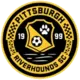 Pittsburgh Riverhounds