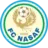 Nasaf