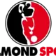 Helmond Sport