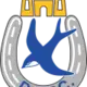 Dungannon Swifts