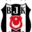 Besiktas
