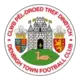 Denbigh Town