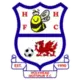 Holyhead Hotspur