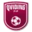 Qviding FIF
