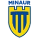 Minaur Baia Mare