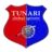 Tunari