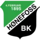 Hønefoss