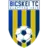 Bicskei
