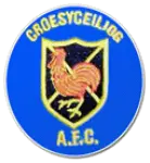 Croesyceiliog AFC