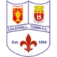 Coleshill Town