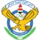 القوة الجوية