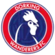 Dorking Wanderers