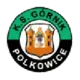 Górnik Polkowice