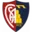 Montevarchi Calcio